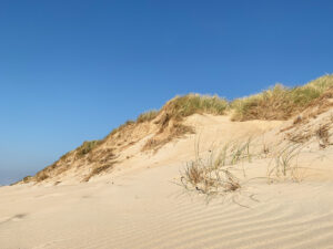 Strahlend blauer Himmel am Strand