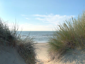 Das Meer zwischenn Dünen und Gras