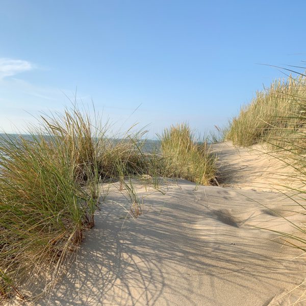 Die Düne am Strand, Blick aufs Meer und blauer Himmel