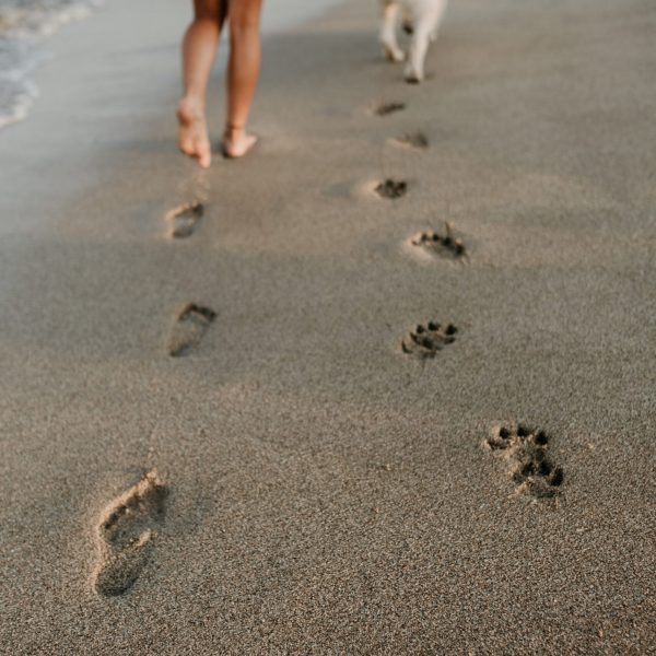 Frau und Hund am Strand hinterlassen Fussspuren im nassen Sand